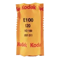 Kodak Professional Ektachrome E100 Color Transparency Film (120 Roll Film)