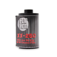 Flic Film Double X 250 iso 35mm B&W Film (36 Exposures)