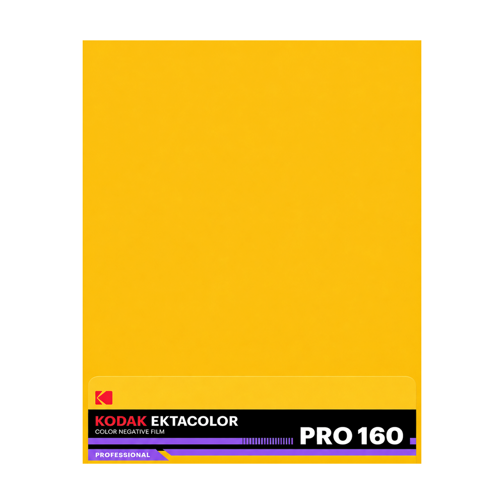 Kodak Ektacolor Pro 160 4×5 Color Negative Film — 10 Sheets